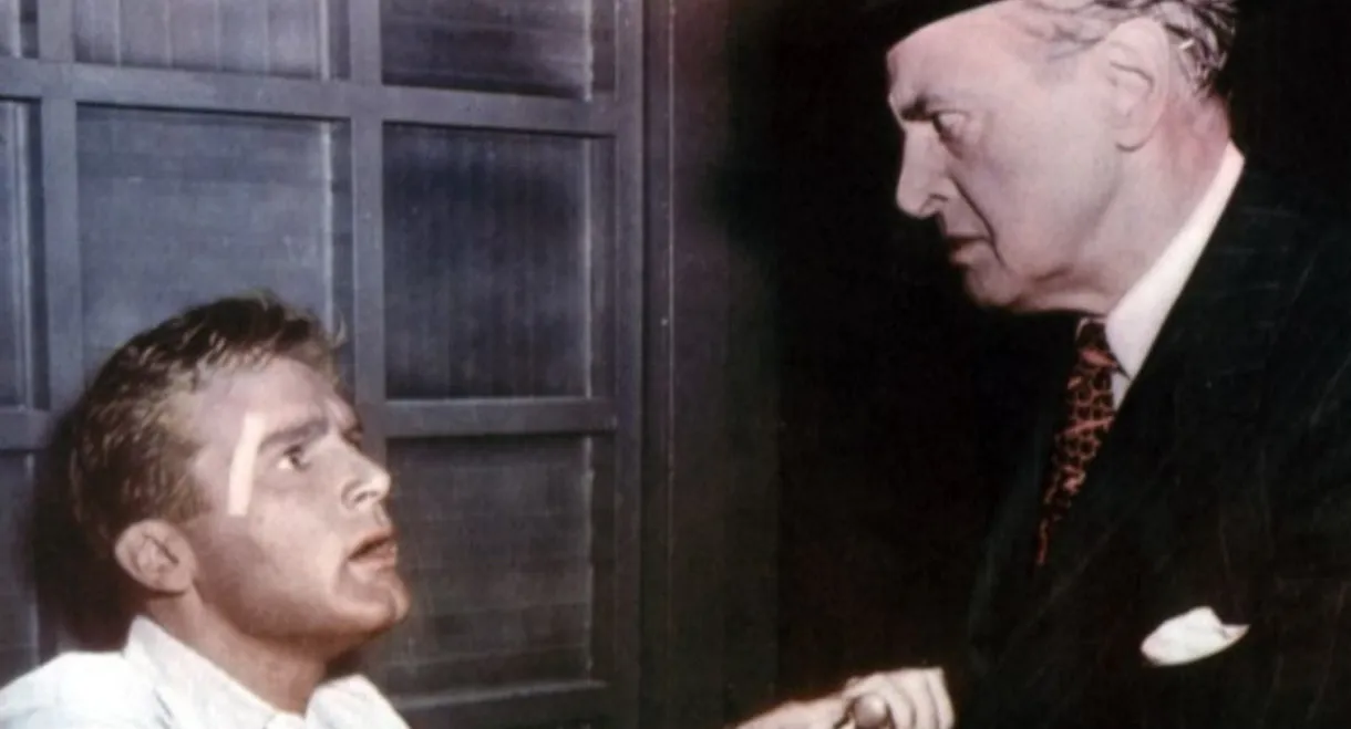 Joe Palooka in the Big Fight