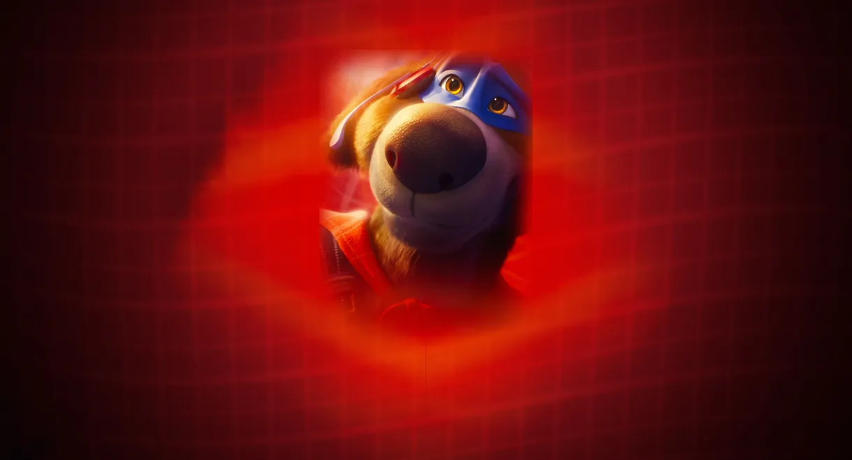 Charlie the Wonderdog