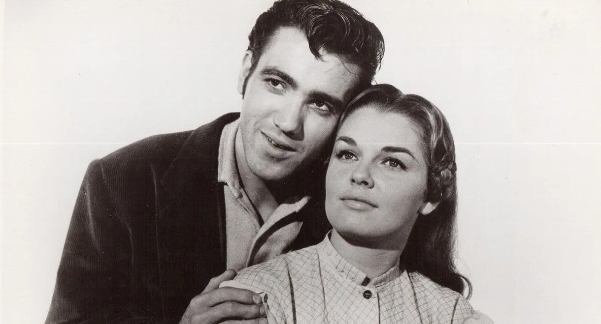 The Little Shepherd Of Kingdom Come