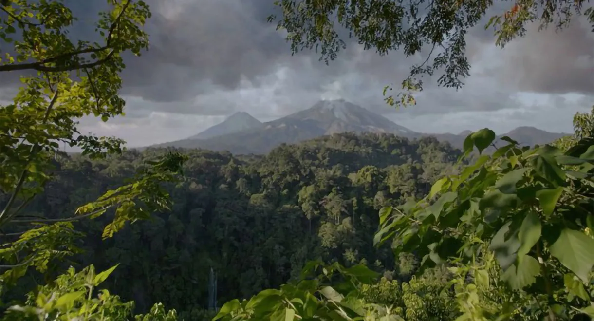 Le mystérieux volcan du Moyen Âge