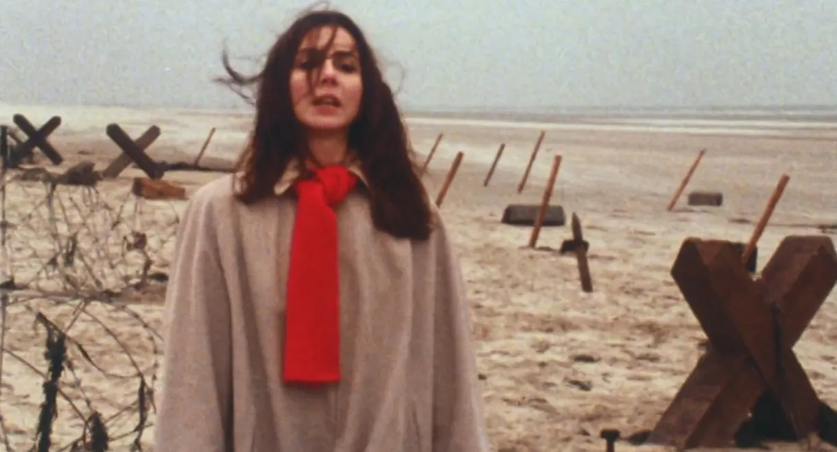 L'Ombre sur la plage