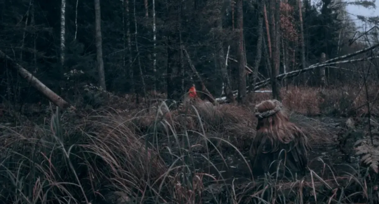 Izvod: Witch's Swamp