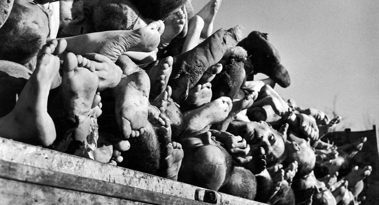 Histories of the Holocaust:Buchenwald