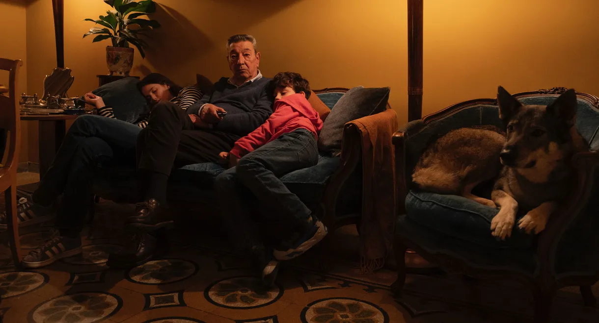 Damned If You Do, Damned If You Don't