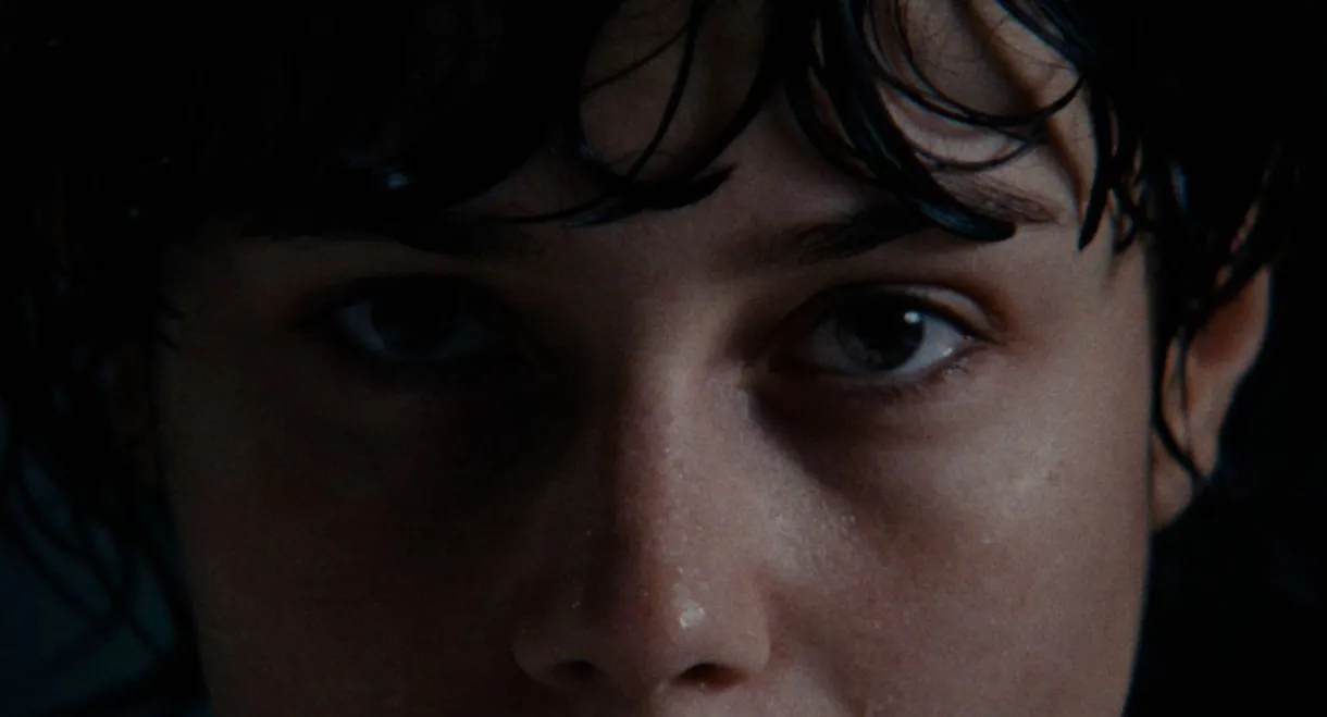 Martin Is Afraid of the Dark