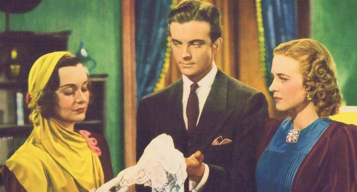 The Case of the Black Parrot