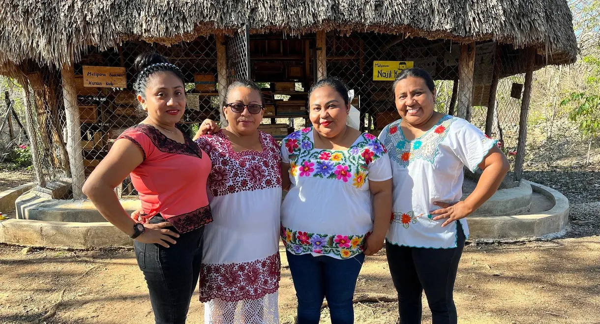 Die Honigfrauen von Yucatán - Las damas de la miel
