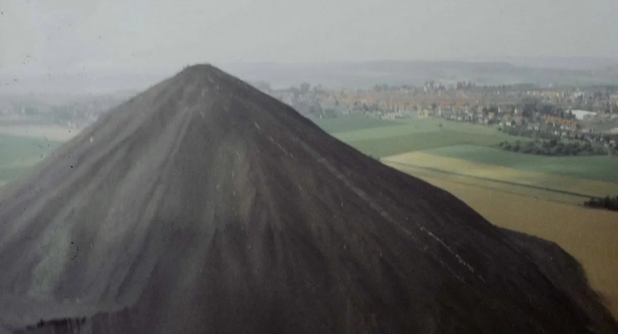 La Cabale des oursins