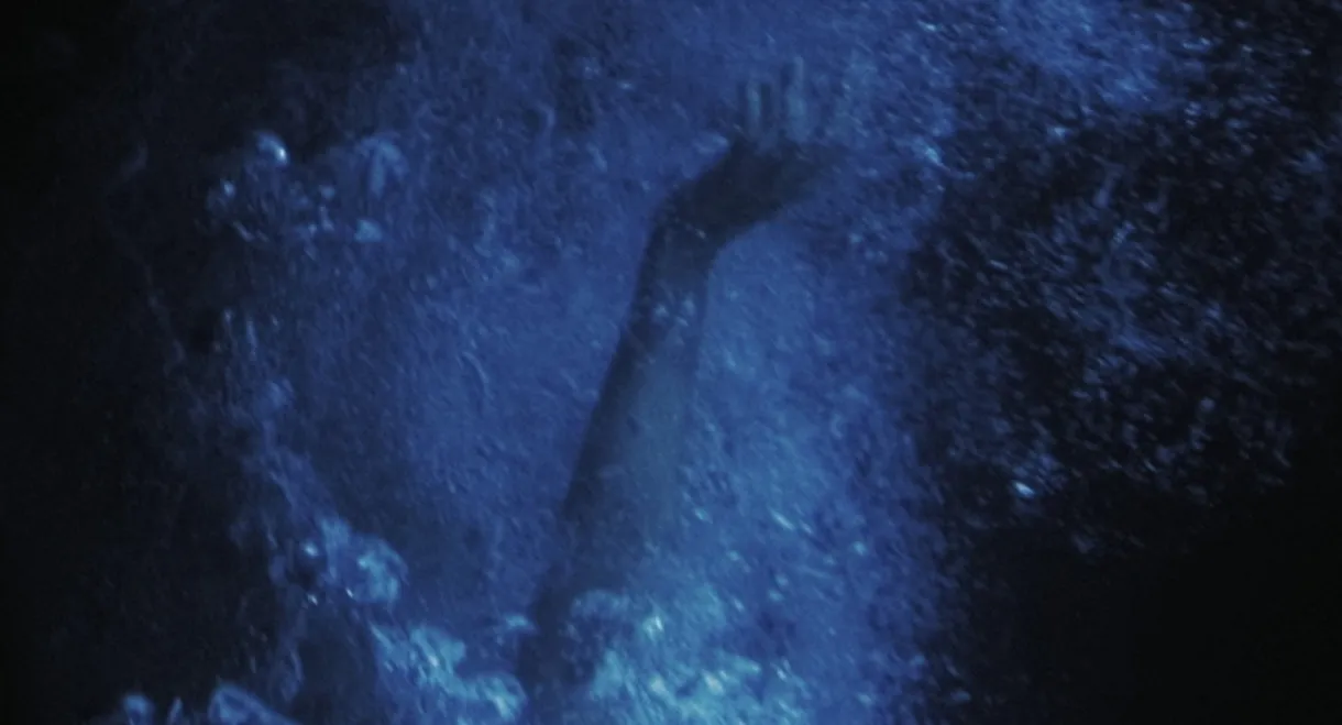 Los melocotones no flotan en el agua