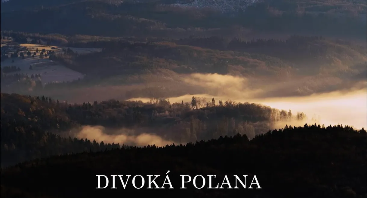 Divoká Poľana: V medveďom vulkáne