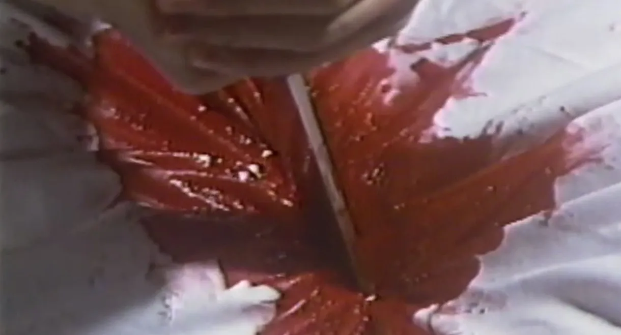 Atsuku naru made matenai Sawaki Yūko