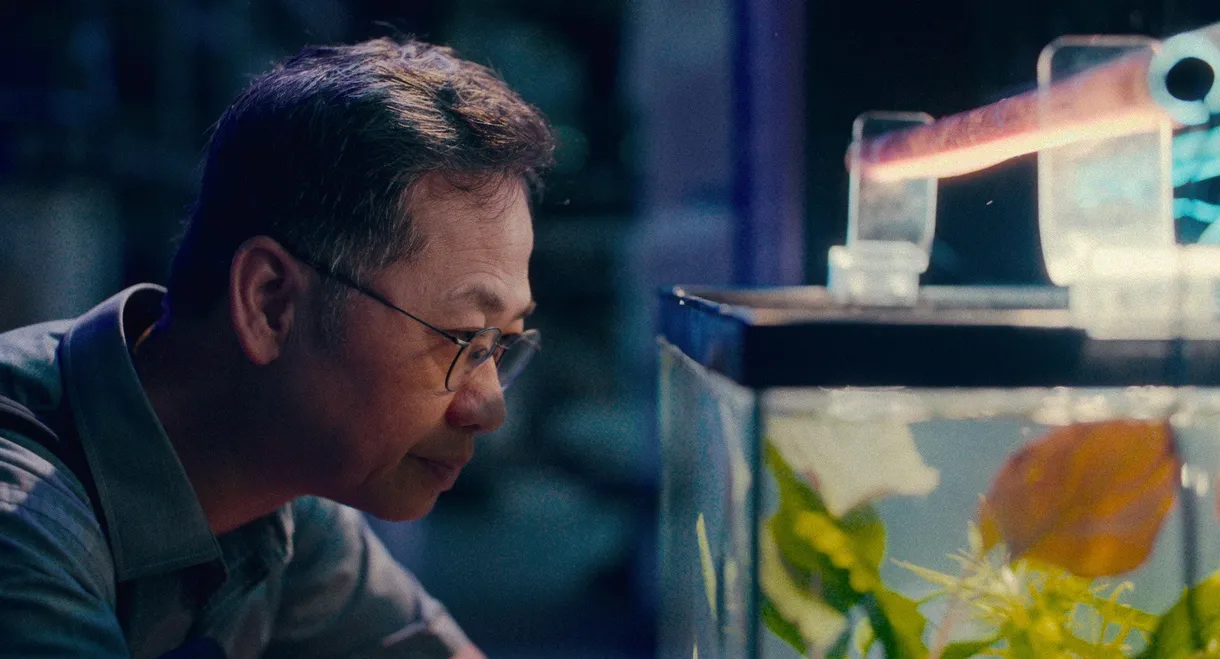 Undercurrent - 暗流