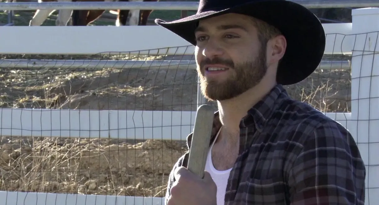 Tales Of Victorian Lust: Power And Struggle