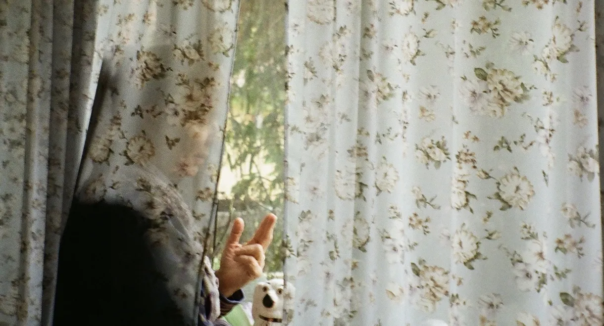 Wind Beneath the Wings