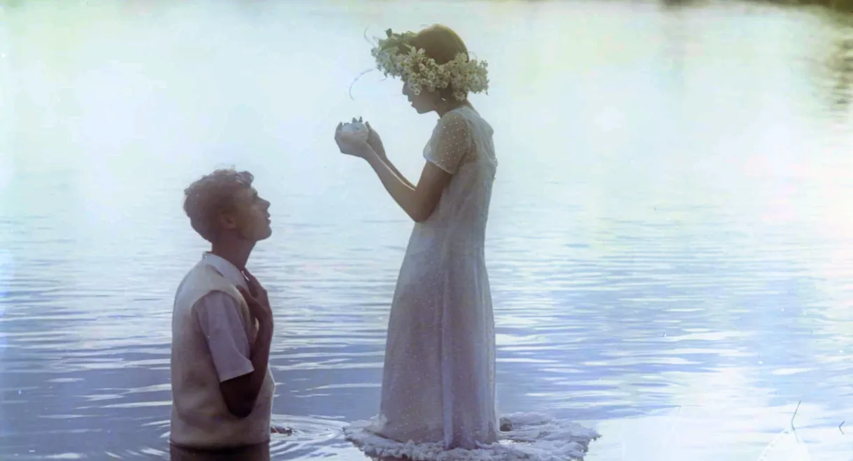 Chronicle of Amorous Accidents