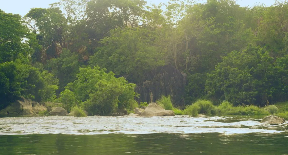 The Tale of a Rainbow Fish