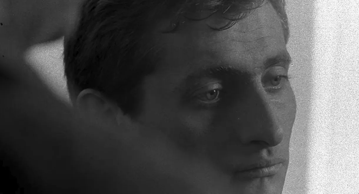 Alone and not Forced by Anyone