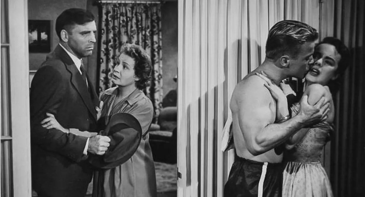 Come Back, Little Sheba