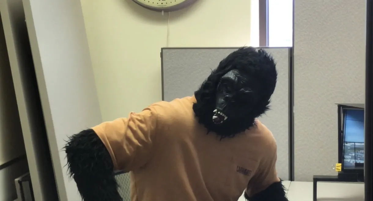 Working with Bigfoot