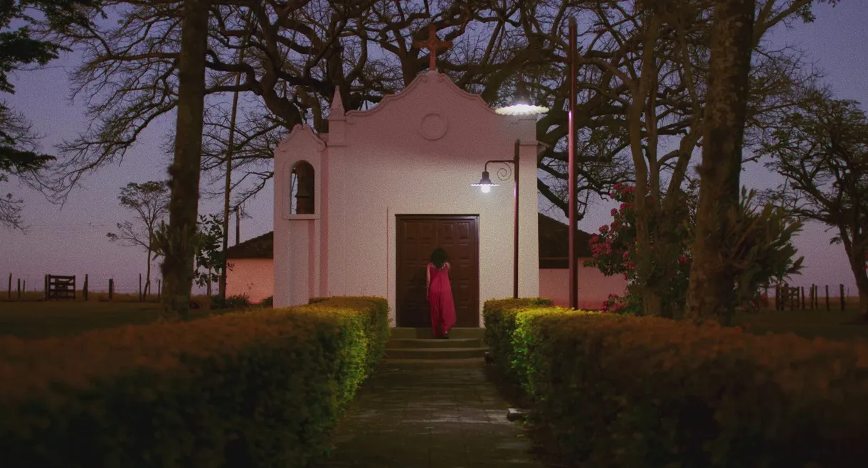 Our Unforgettable Fellow