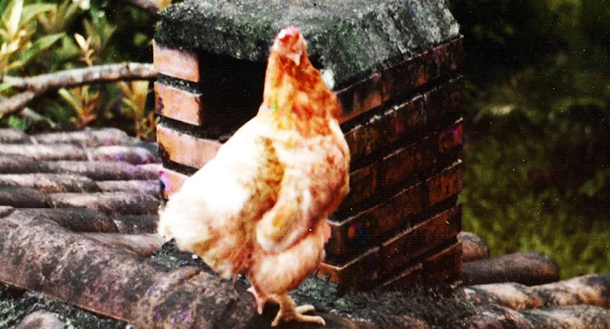 Poluição dos Mares & Oceanos