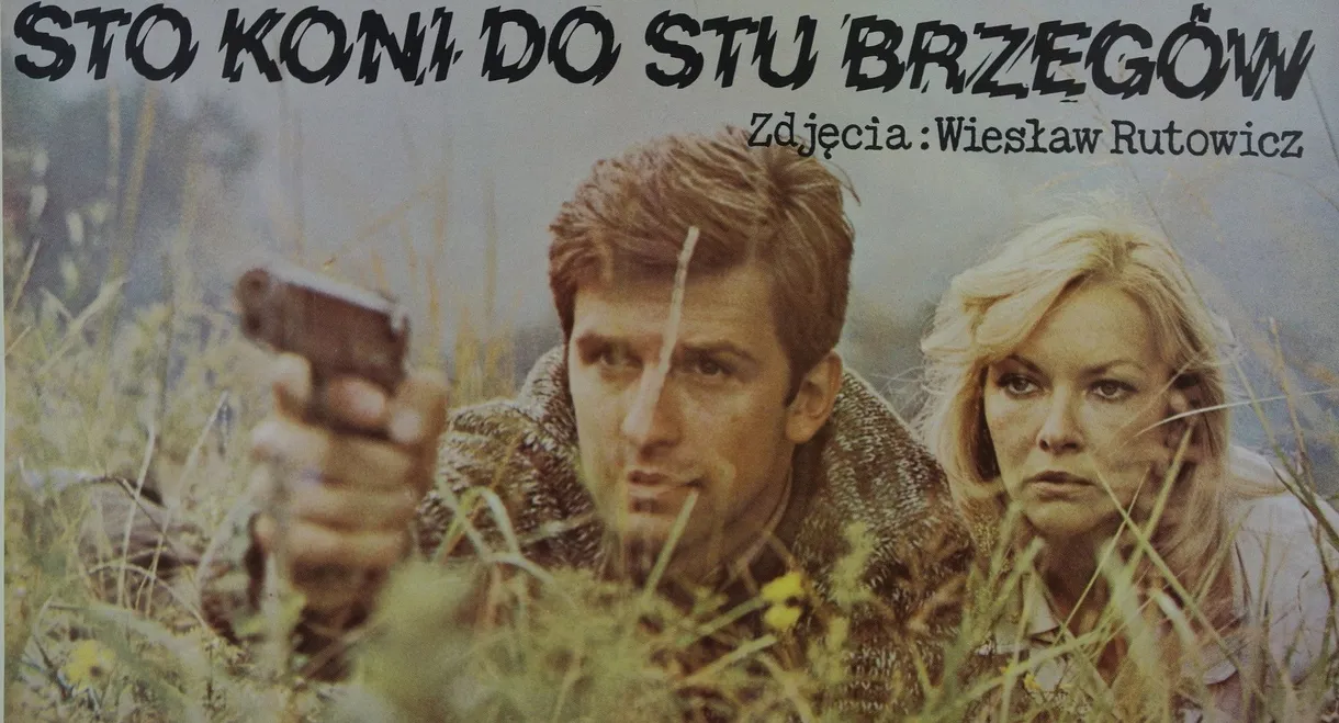 Sto koni do stu brzegów