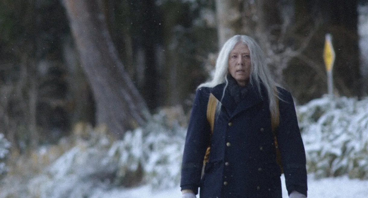 The Forest of Sunekosuri