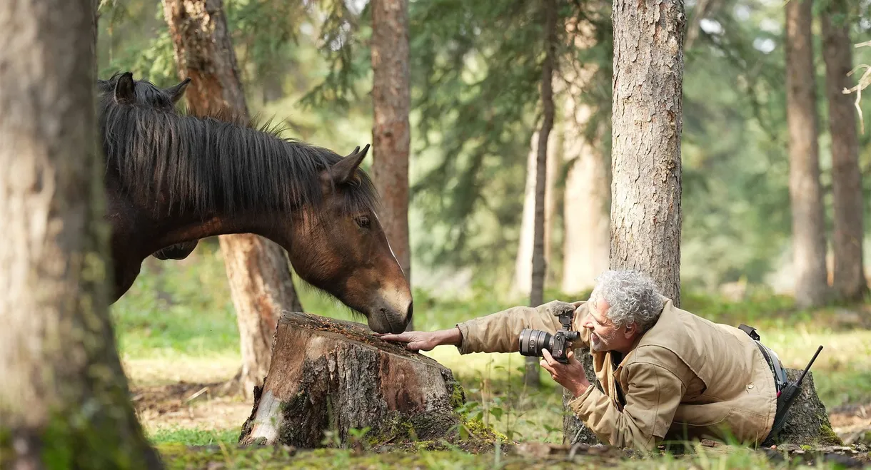 Wild Horses, the Rockies and Me