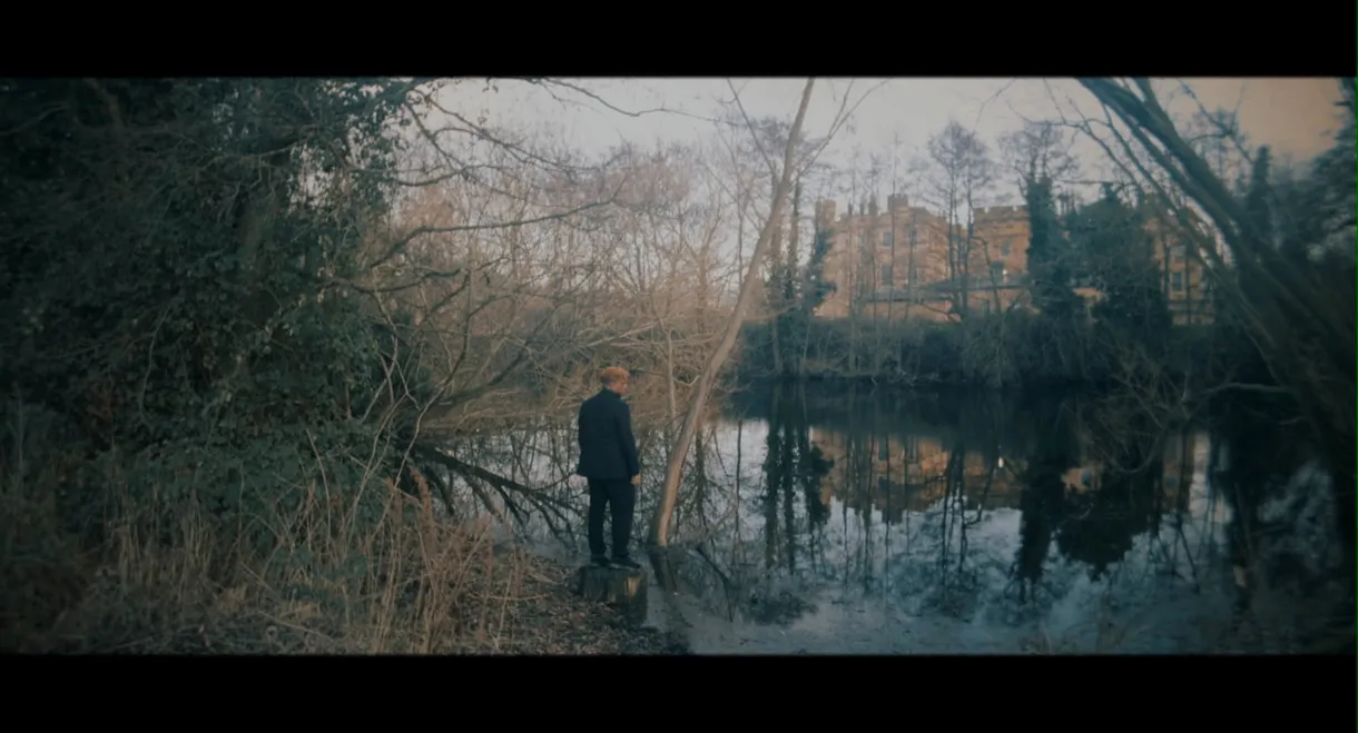 The Roots Of Its Own Kind