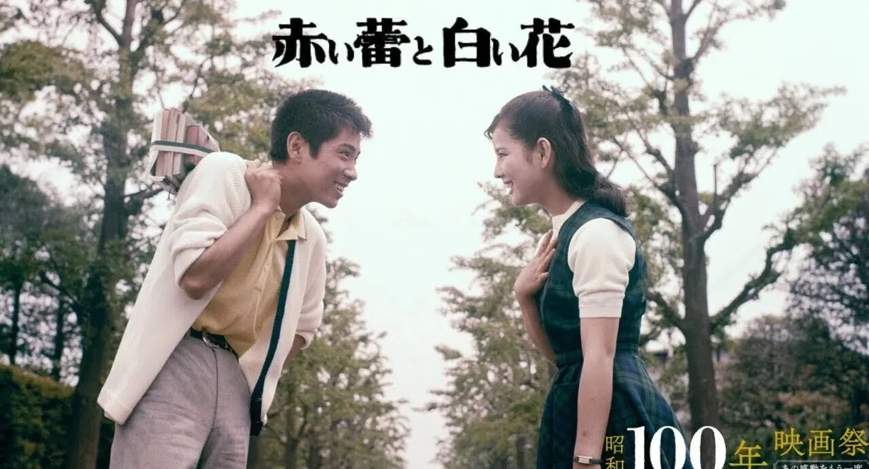 Red Bud and White Flower