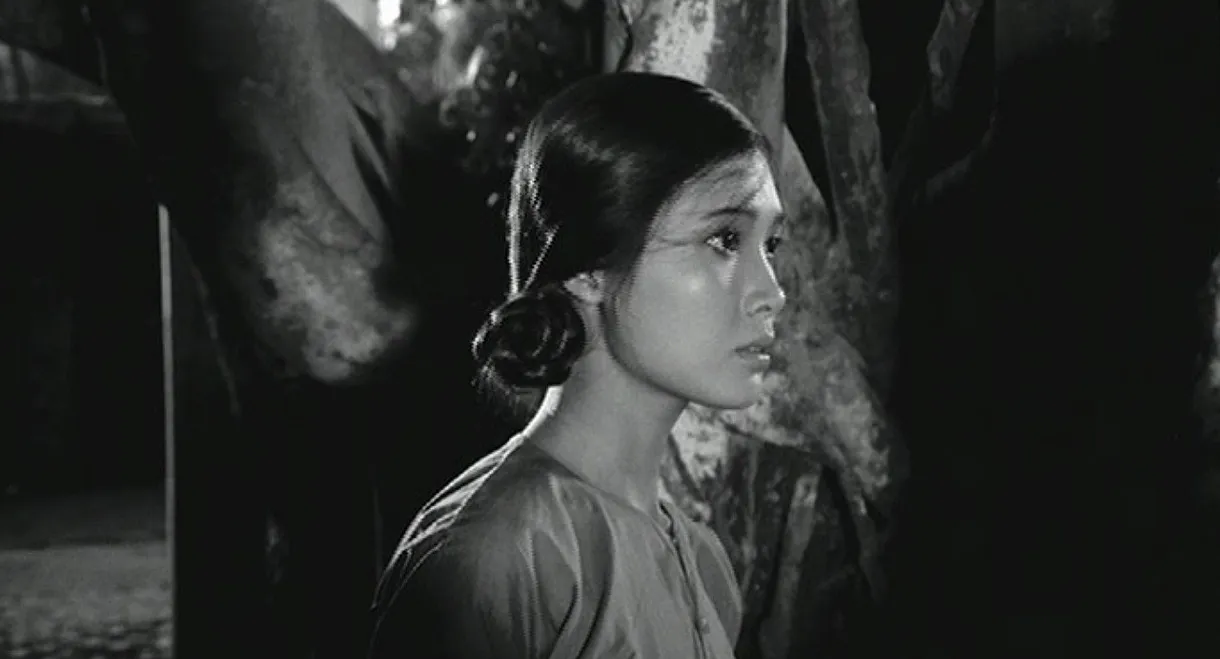 When the Tenth Month Comes