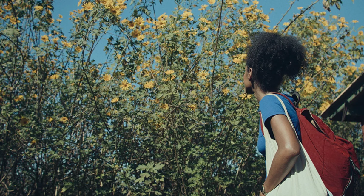 Dança dos Vagalumes