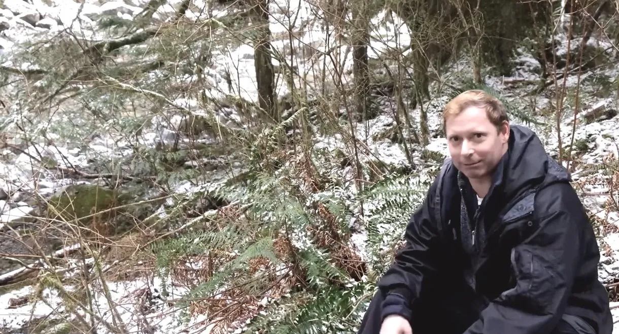 Searching for Sasquatch Chapter II  The Watchers