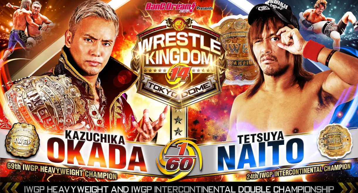 NJPW Wrestle Kingdom 14: Night 2