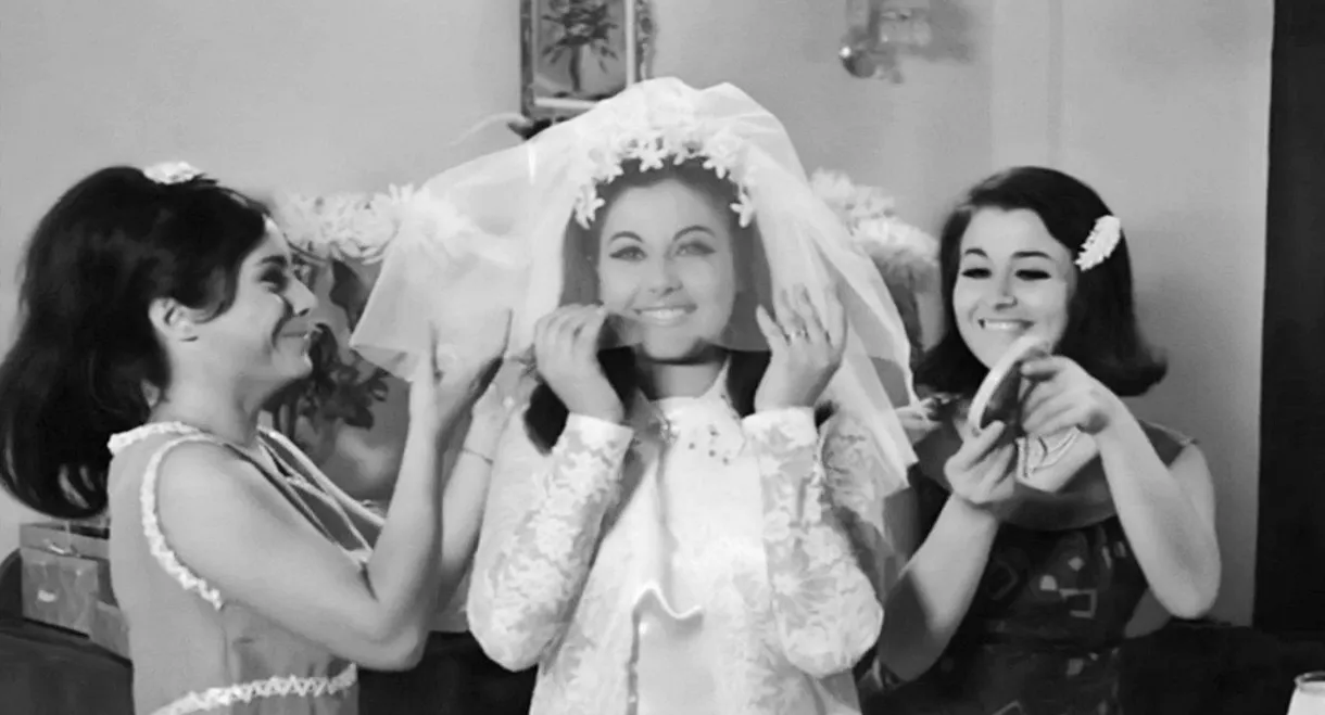 Crazy, Nuts and Vengos