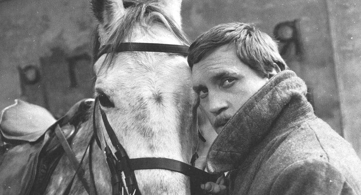 Two Comrades Were Serving