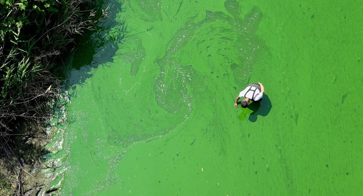 Rivercide: The Secret Six