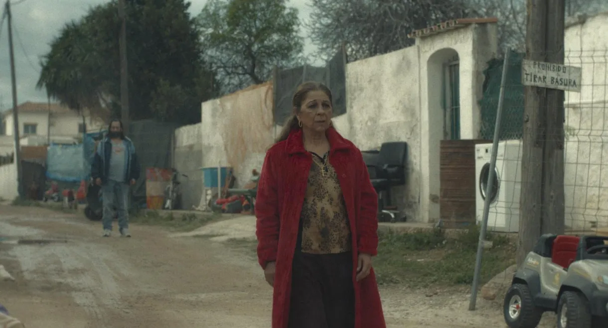 Mallorca Confidencial