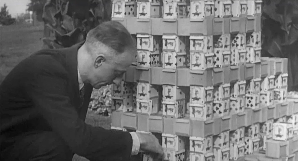 Believe It or Not (Second Series) #2