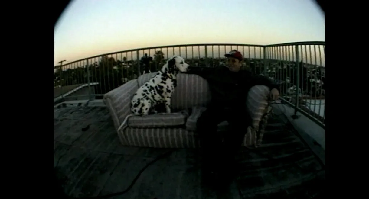 Sublime | Stories, Tales, Lies & Exaggerations