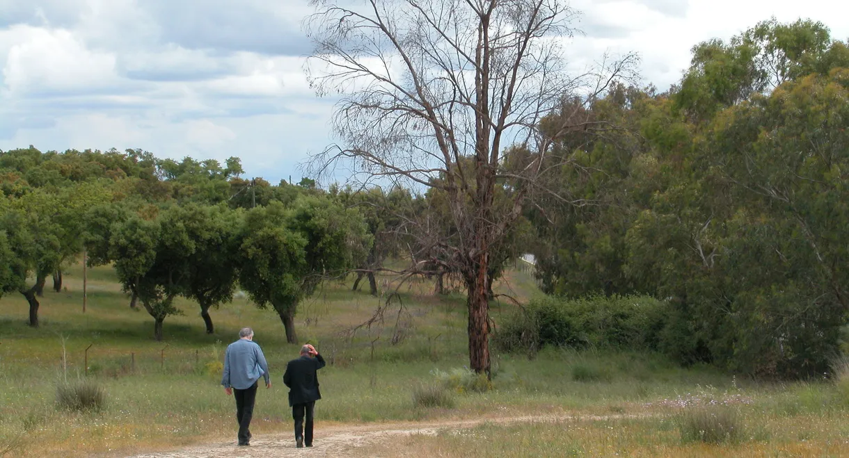 Michael Biberstein - My Friend Mike at Work
