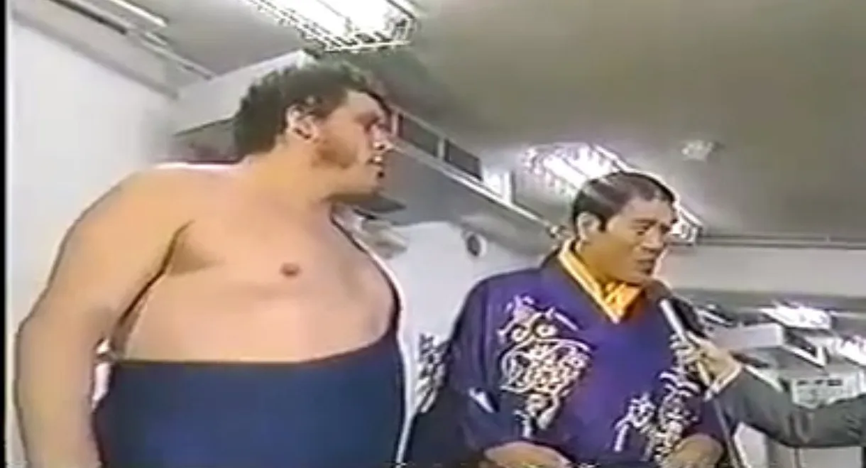 WWF/AJPW/NJPW Wrestling Summit