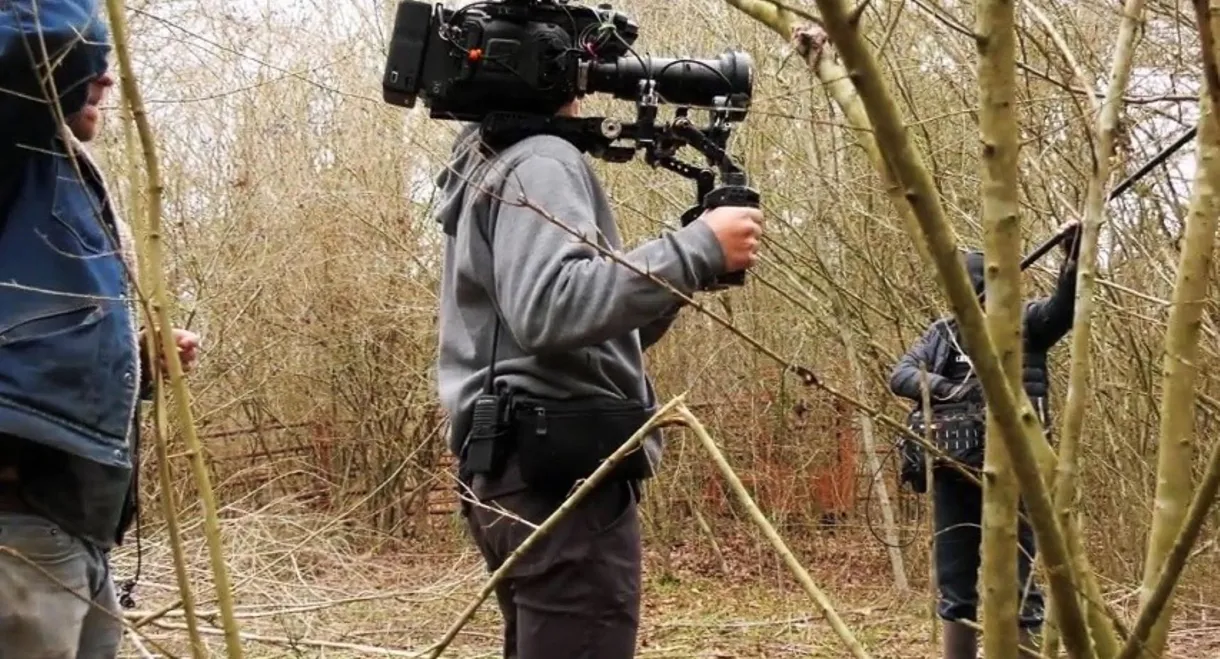 The Legacy of the 12 Westerns