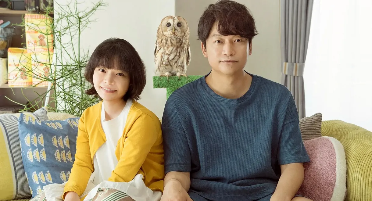 Everything Will Be Owlright!