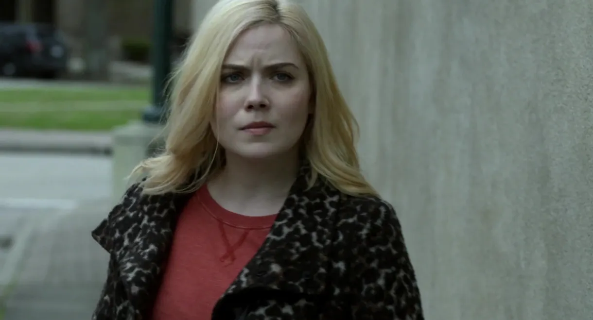 Stolen in Plain Sight