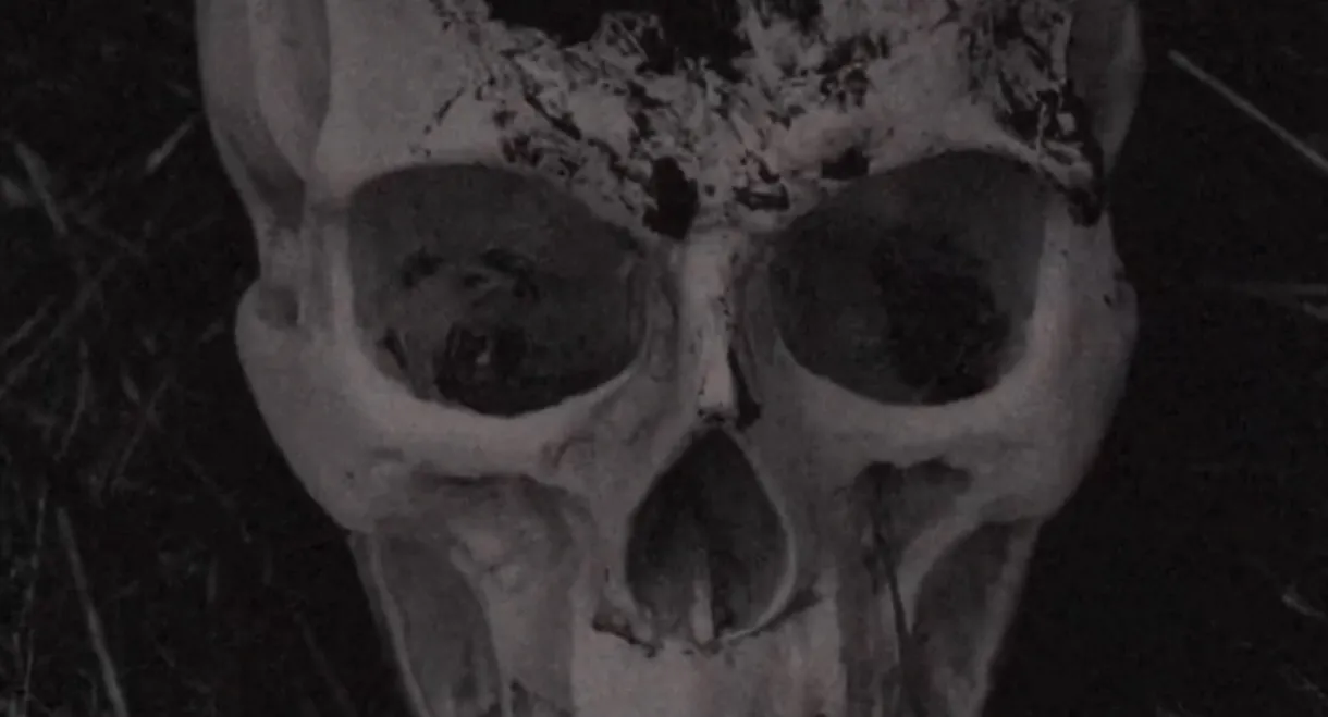 The Volition Of A Bygone Priest