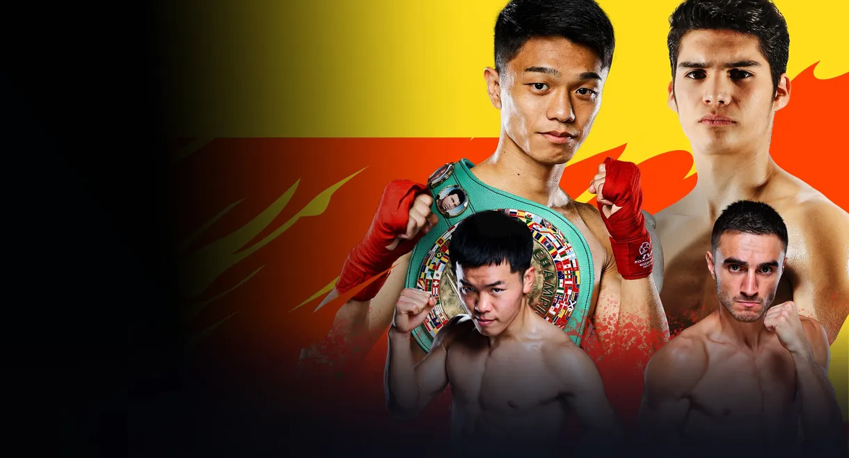 PRIME VIDEO BOXING 11