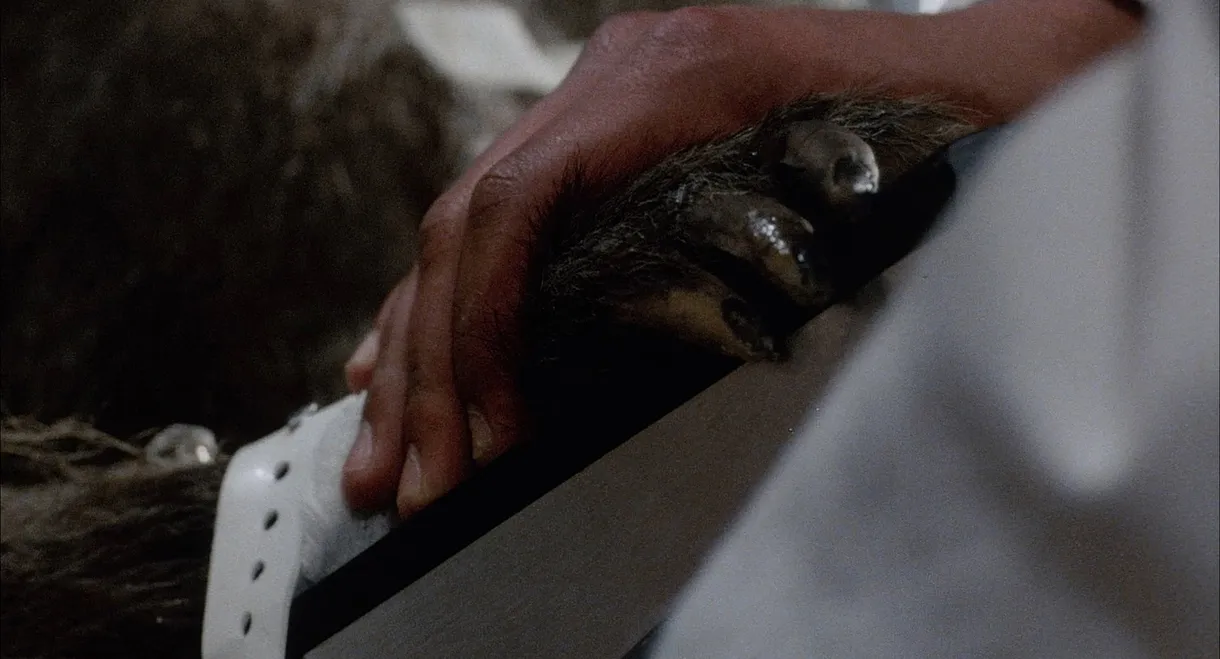 Baboon Bite Maniacs! - "Primal Rage" 35 Years Later