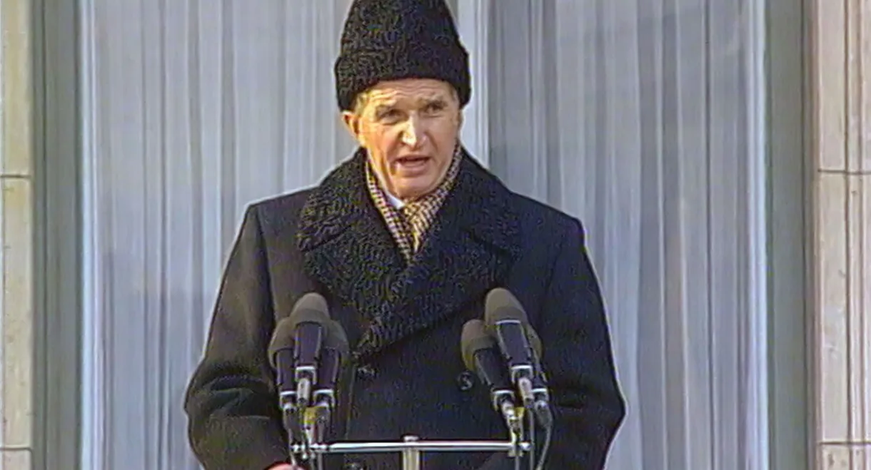 Videograms of a Revolution