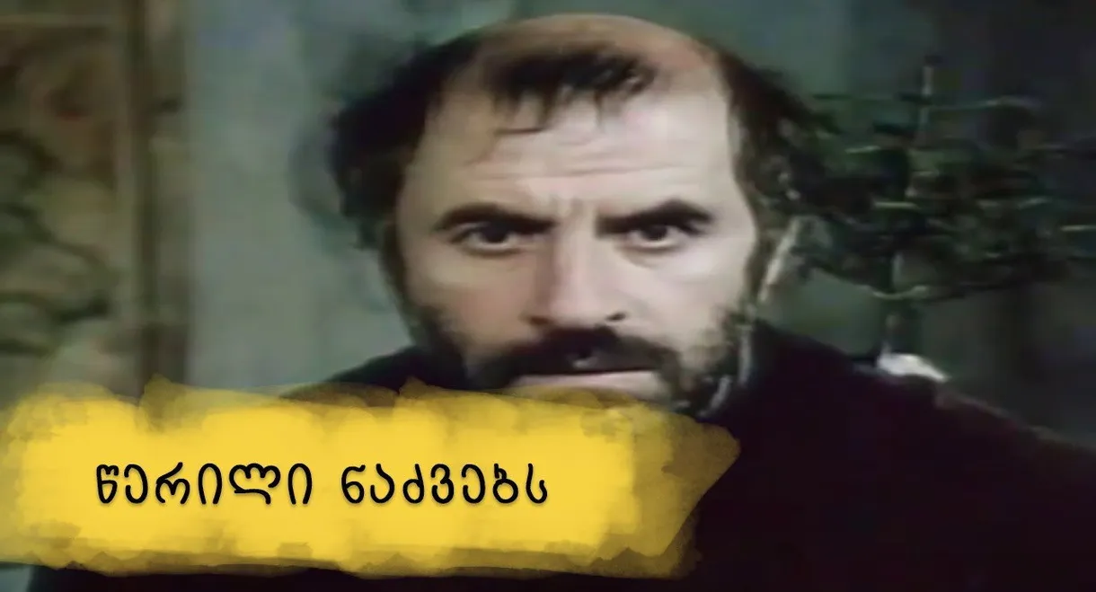 A Letter to Fir Trees